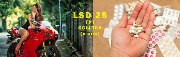 ГАЛЛЮЦИНОГЕННЫЕ ГРИБЫ Белоозёрский