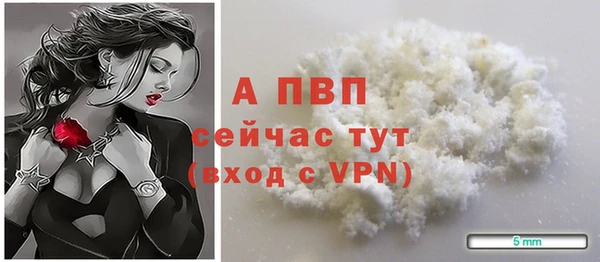 ГАЛЛЮЦИНОГЕННЫЕ ГРИБЫ Белоозёрский