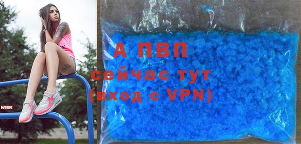 ГАЛЛЮЦИНОГЕННЫЕ ГРИБЫ Белоозёрский