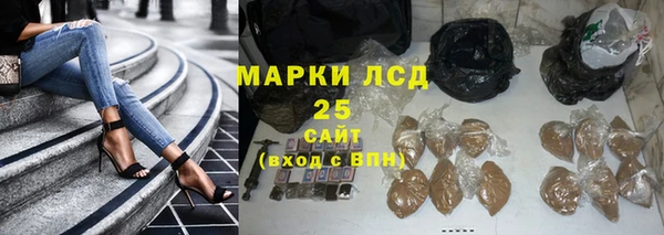 PSILOCYBIN Киреевск