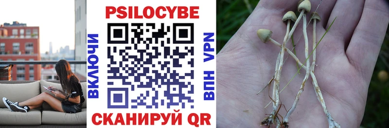 Галлюциногенные грибы ЛСД  Купить закладки  Байкальск 